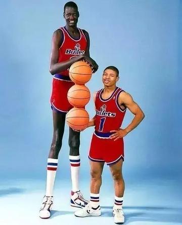 最高NBA身高是多少?聊聊那些巨人和真实数据 最高NBA身高是多少?聊聊那些巨人和真实数据